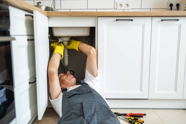 Best Plumbing Inspections & Maintenance in Downers Grove, IL